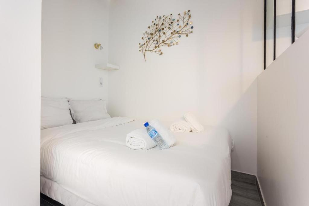 Cmg - Cosy Studio -montorgueil Paris