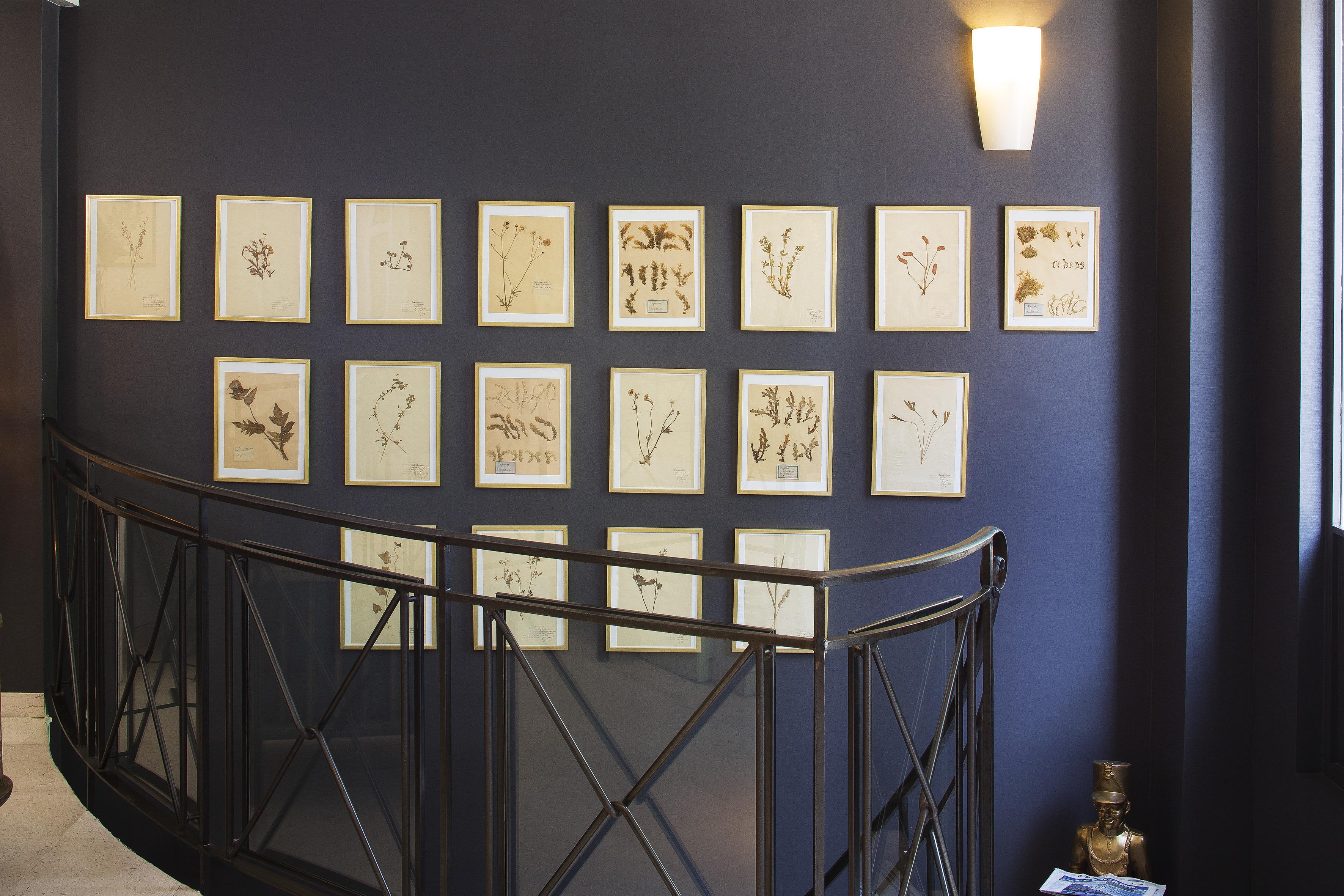 Maxim Quartier Latin Hotel 3*