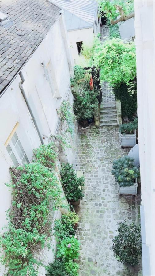 Luxury New Modern Apptmt In Center Of Appartement *