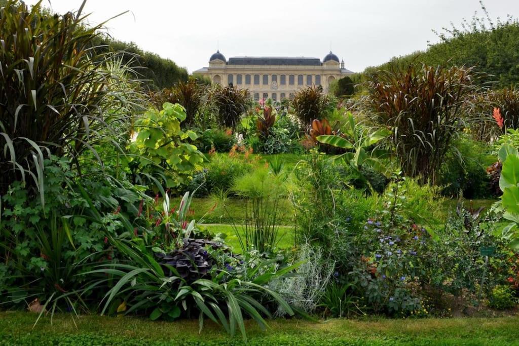 Apartment : Superbe 2 Pieces Jardin Des Plantes.