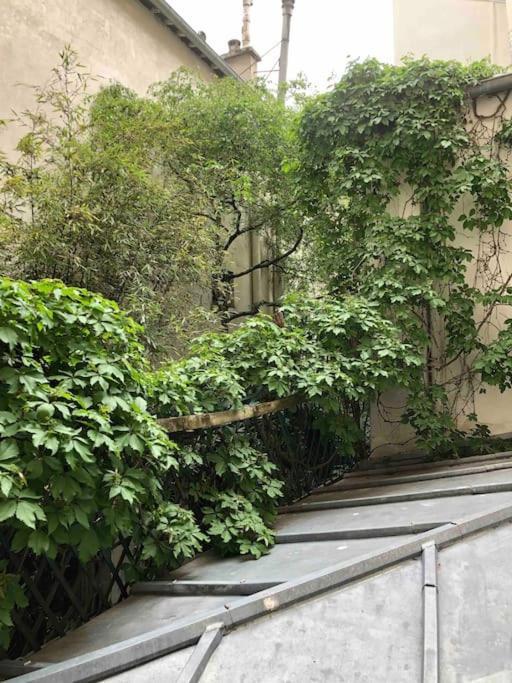 : Superbe 2 Pieces Jardin Des Plantes. Paris