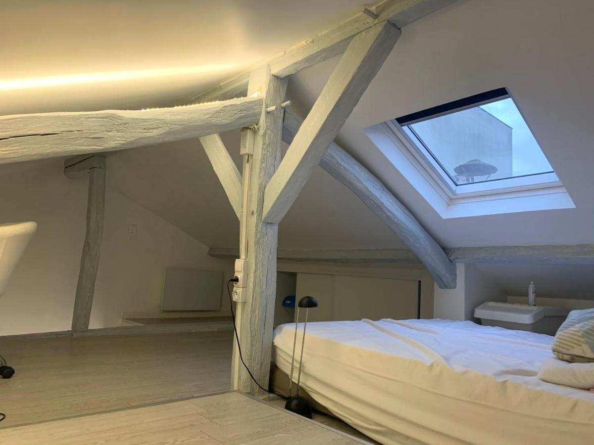 Apartment Type Loft