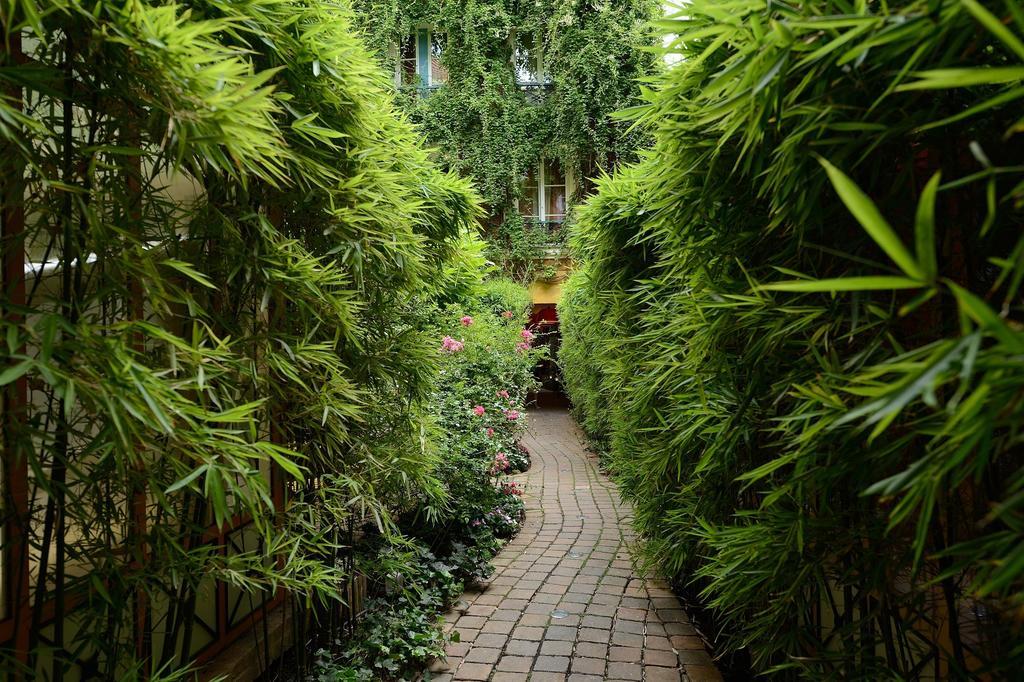 Les Patios Du Marais 2