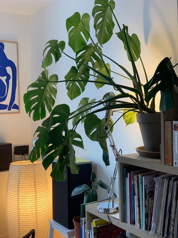 Appartement Studio Lumineux Pres Montmartre Paris