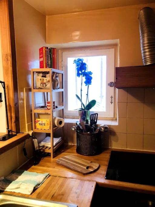 Appartement Habitation Salome *