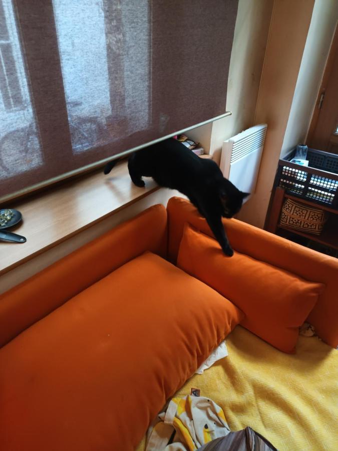 Homestay Chambre Canal St Martin *