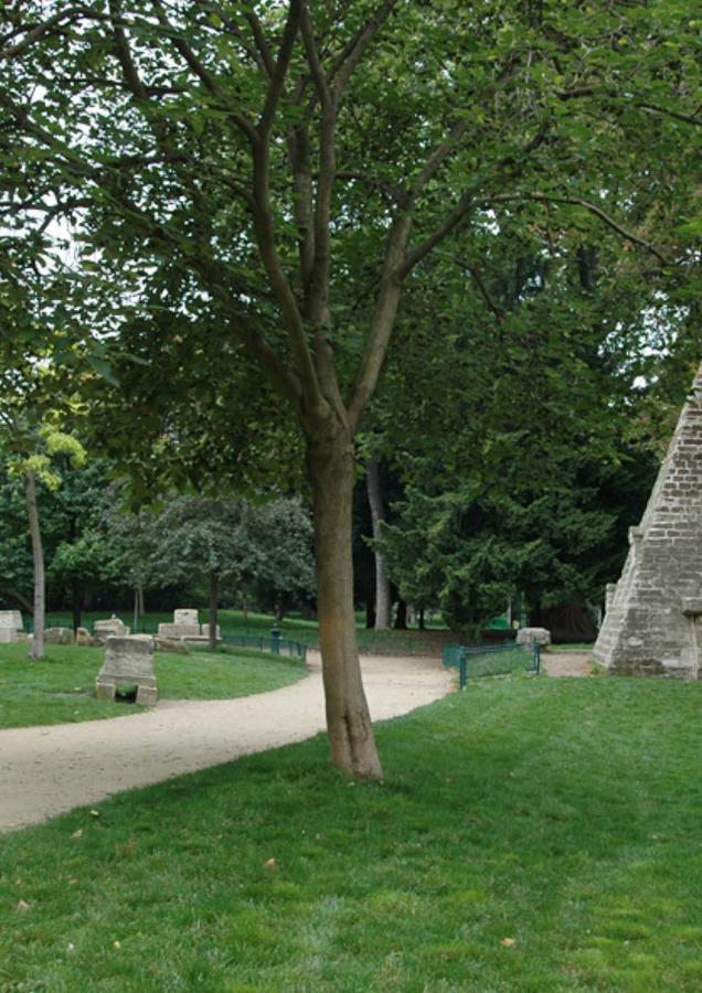 La Monceau Paris