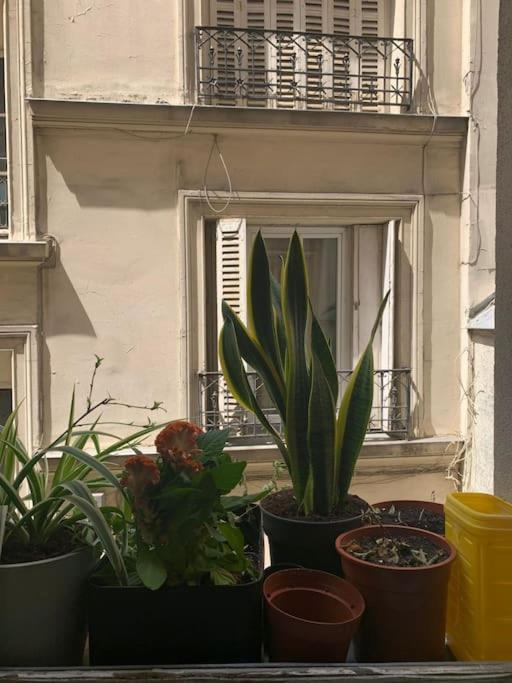 Montmatre-paris Appartement