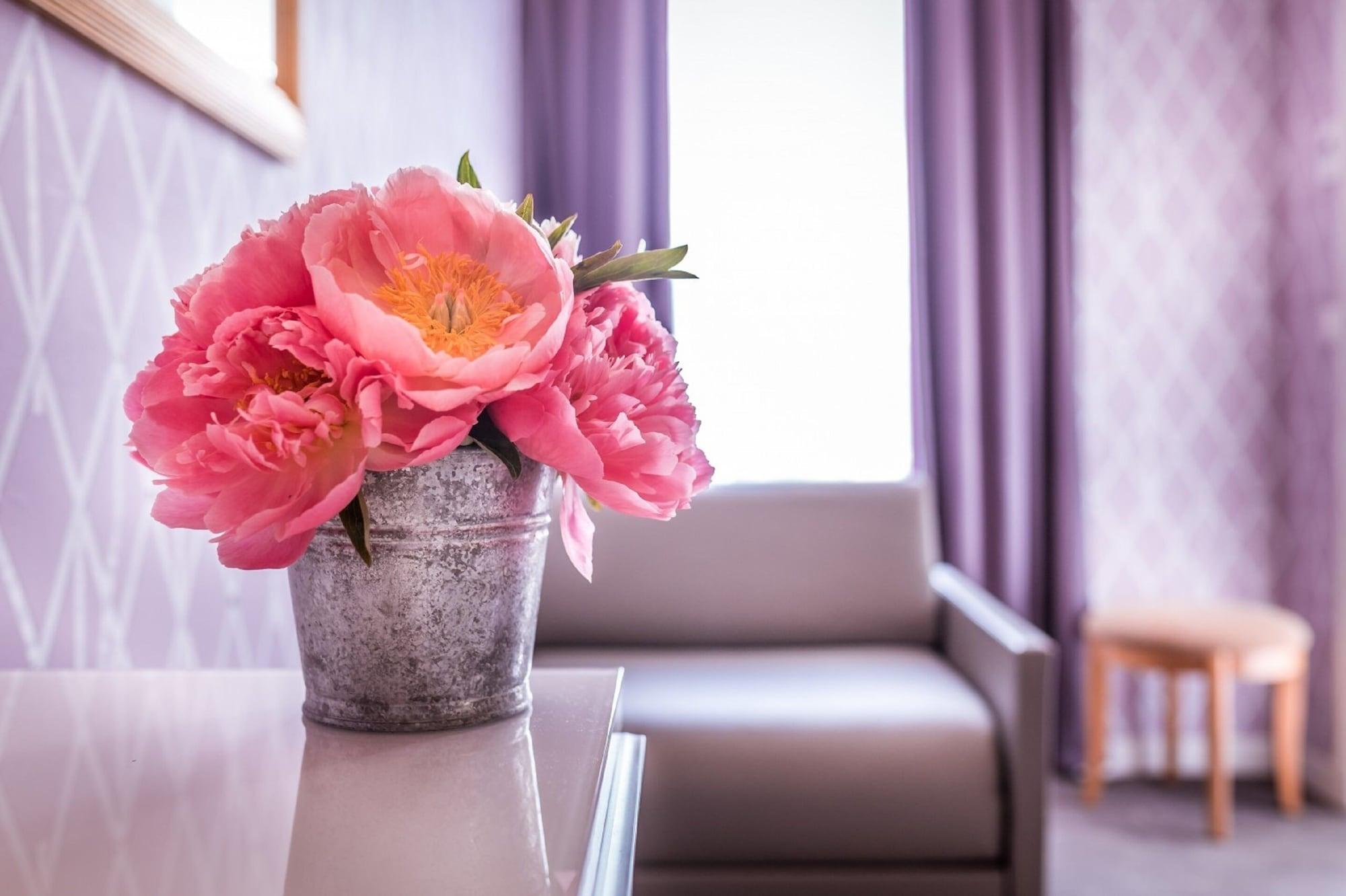 Hotel Massena