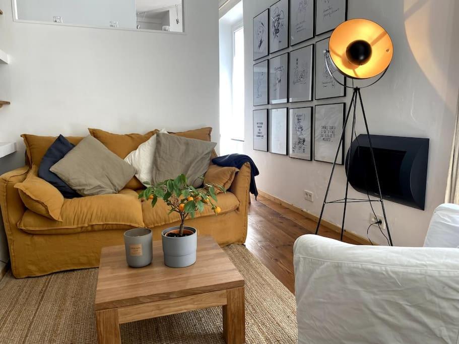 Apartment Studio Avec Terrasse !