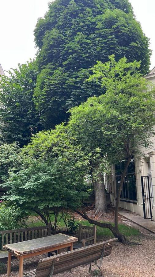 Spacieux Au Coeur Du 9 Eme Arrondissement Appartement Paris