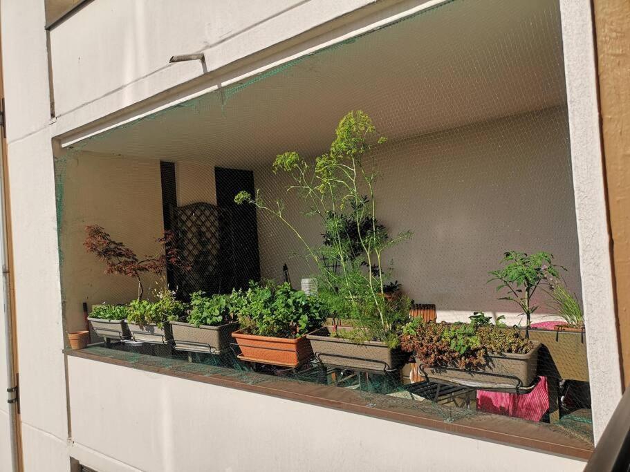Large With Terrace For Up To 4 People Paris