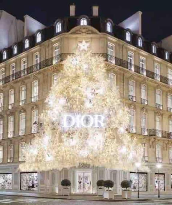 Chanel Avenue Montaigne & Elysees 4 Guests Apartment Paris