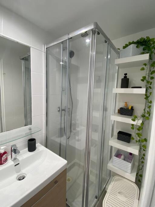 Apartment Ile Saint Louis *