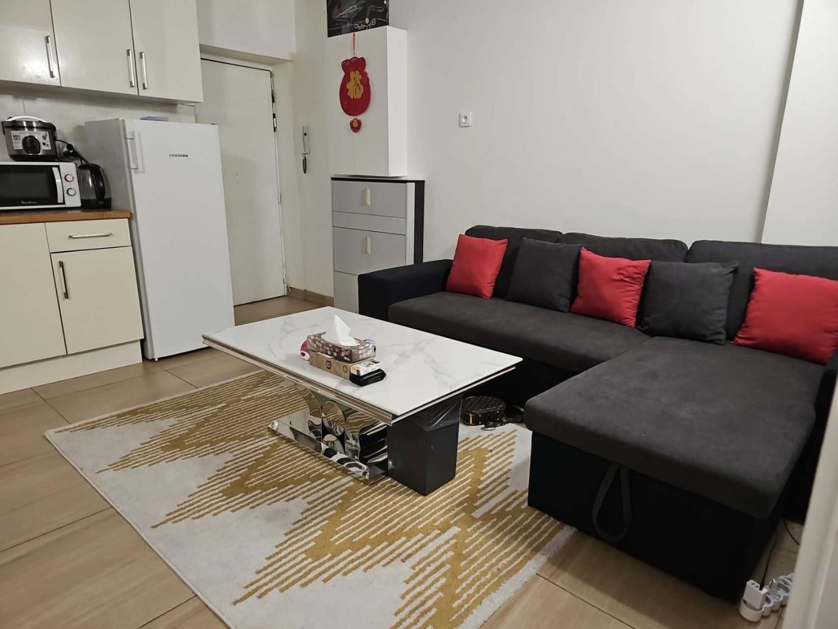 Appartement 休闲民宿 Paris
