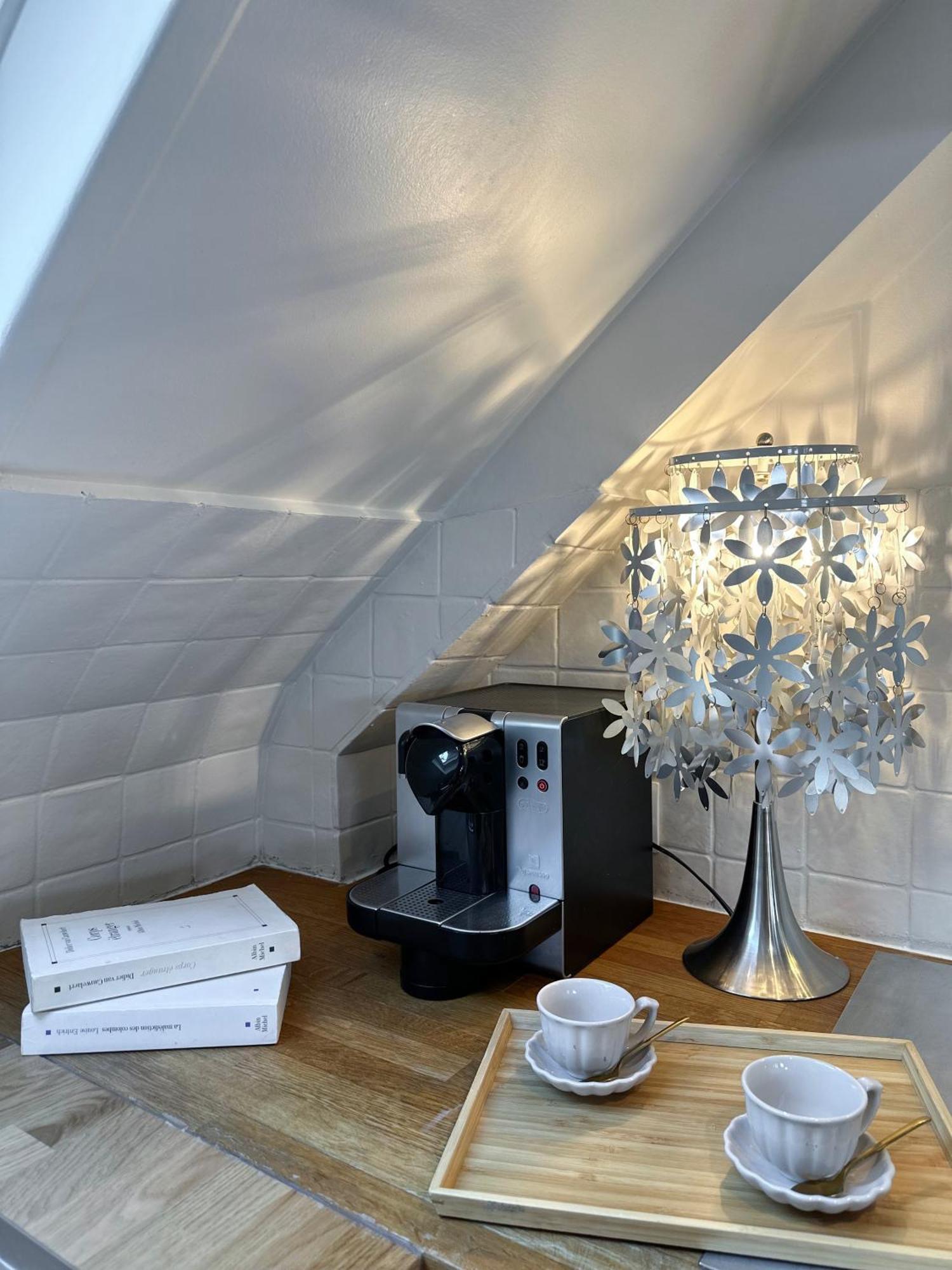 Unique & Beautiful Duplex In Saint-germain