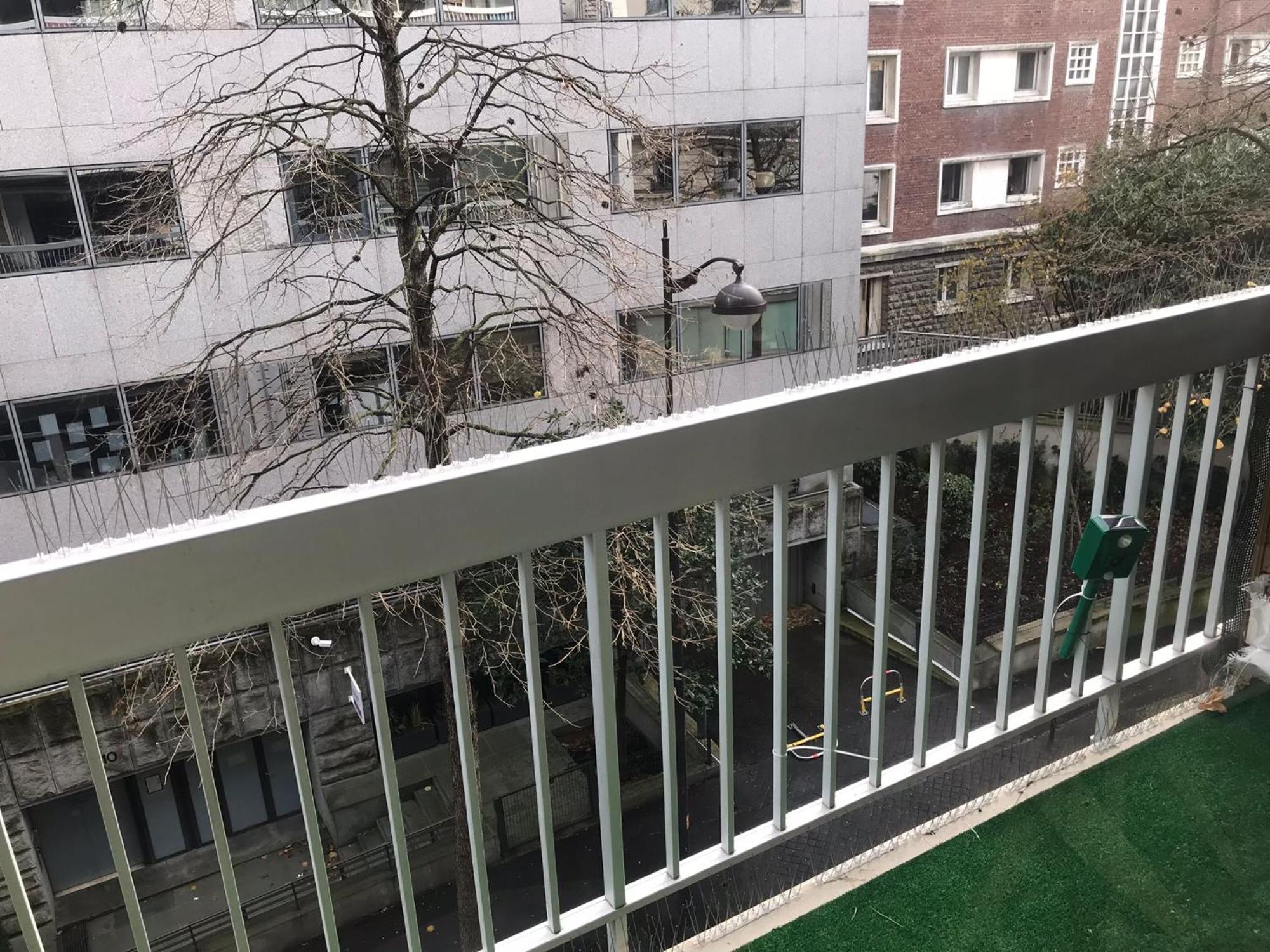 Studio 31m2 Plein Est Avec Balcon Laumiere Appartement *