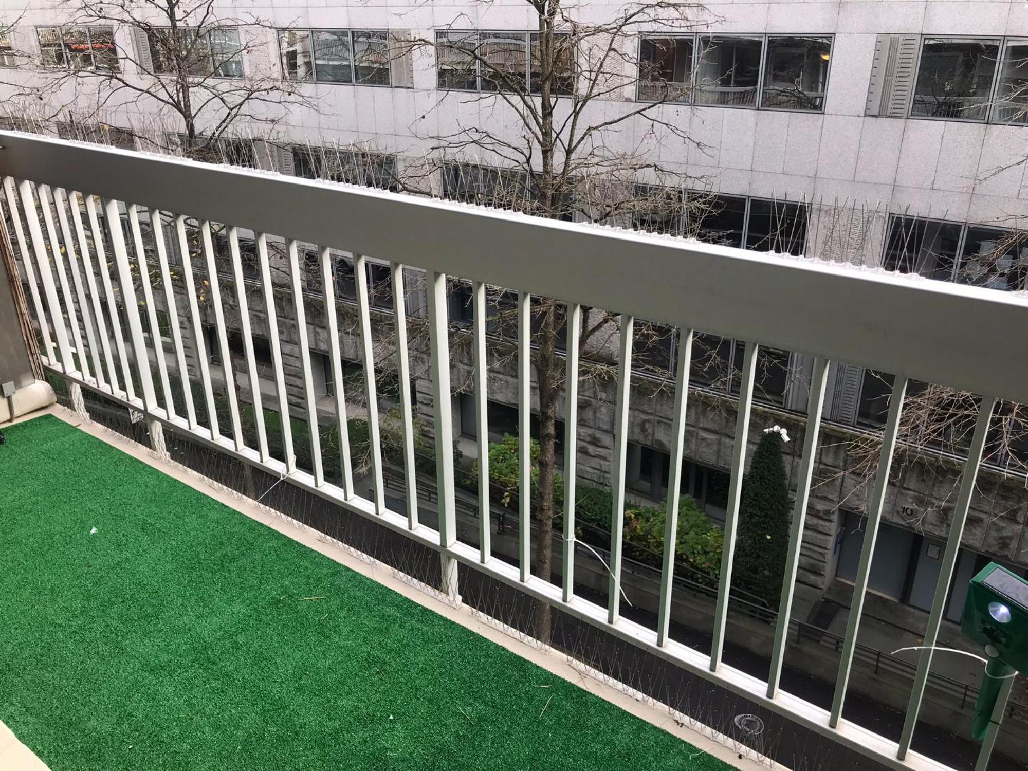 Studio 31m2 Plein Est Avec Balcon Laumiere Appartement