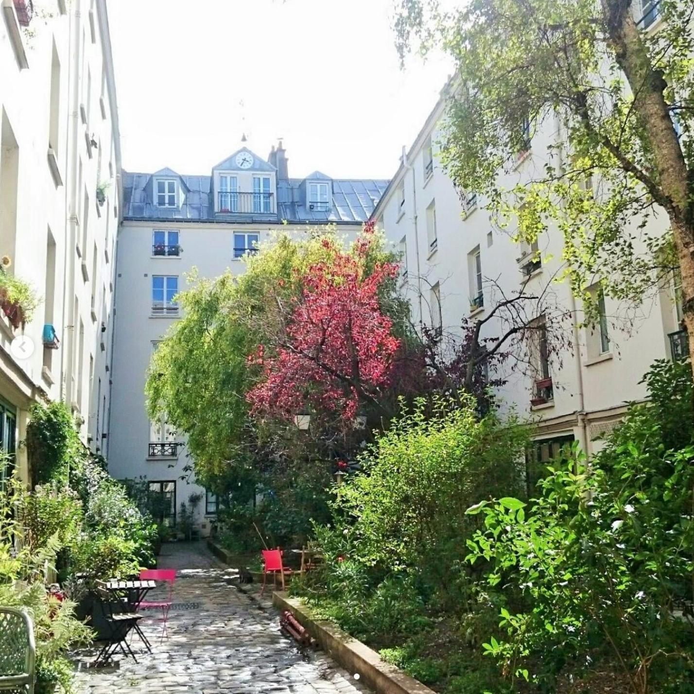 Renovated ! Of Lights, Light Your Visit Appartement *