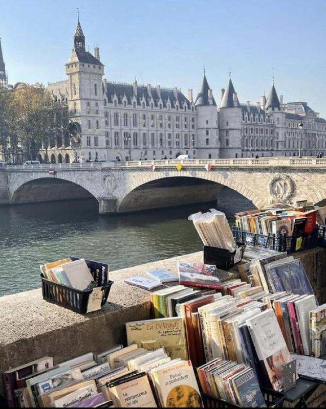 Superbe T3 Terrasse Coeur De Historique