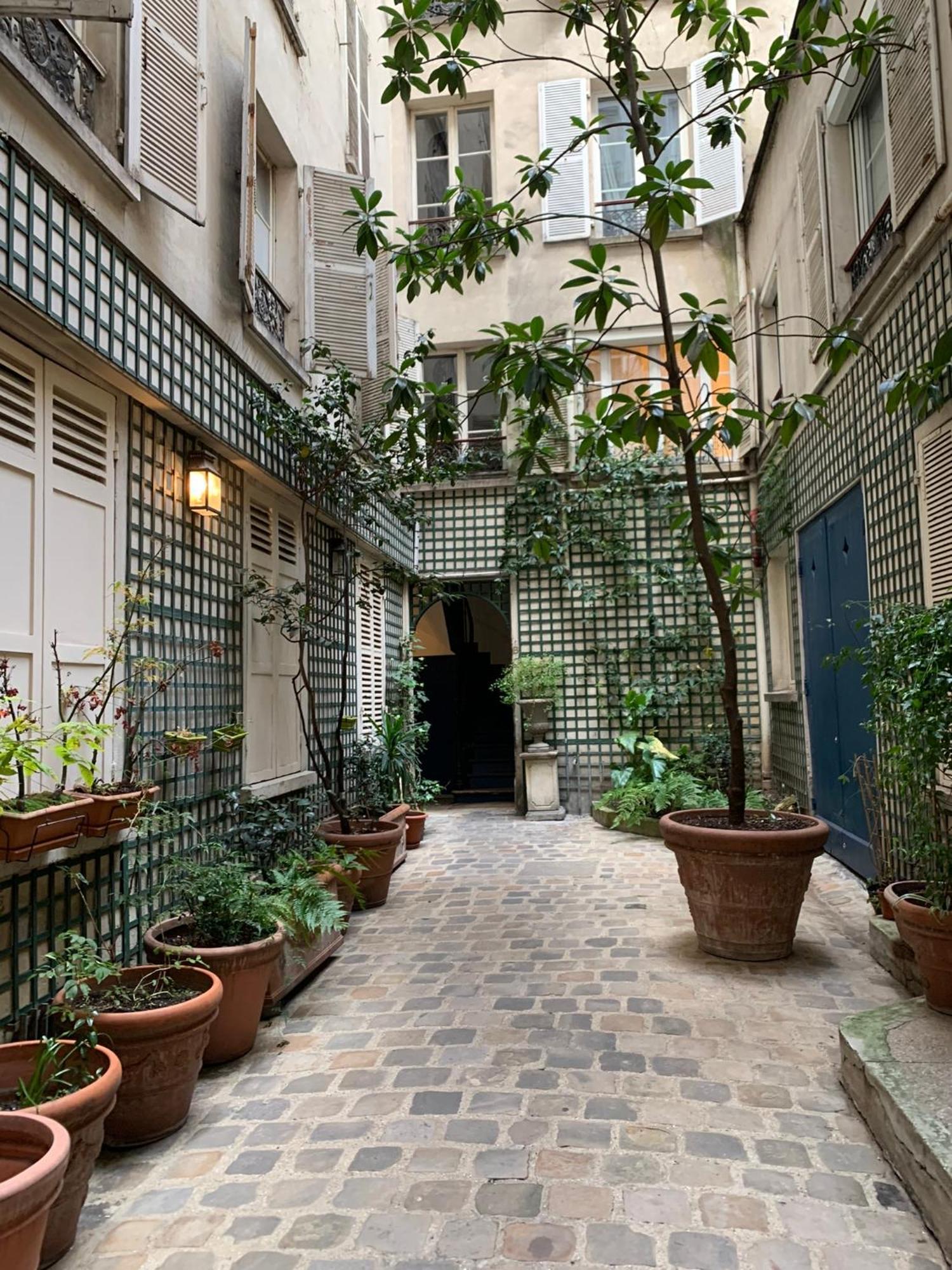 Mignonne Paris