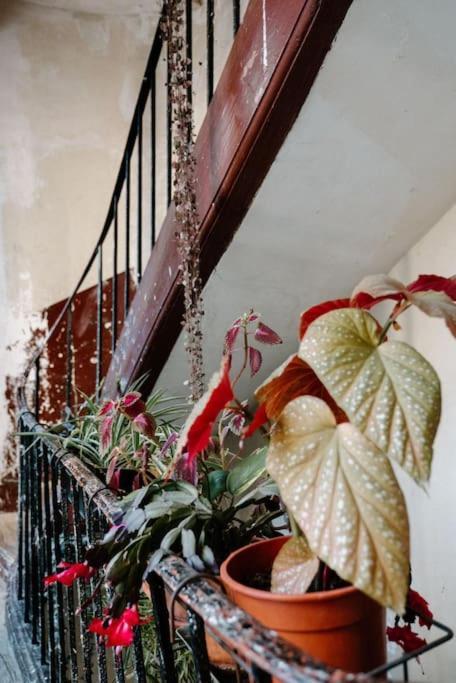 Charming Hideaway * Paris