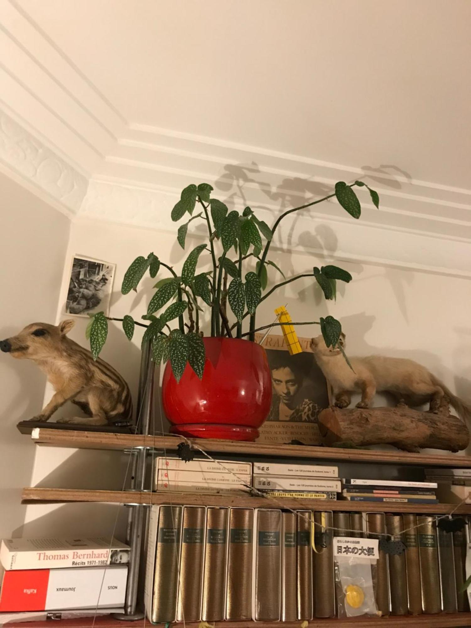 Apartamento Le Nid D'aigle Paris