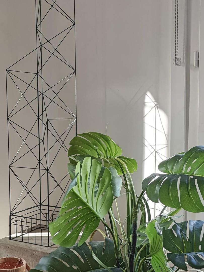 Apartamento Saint-germain-des-pres Story *