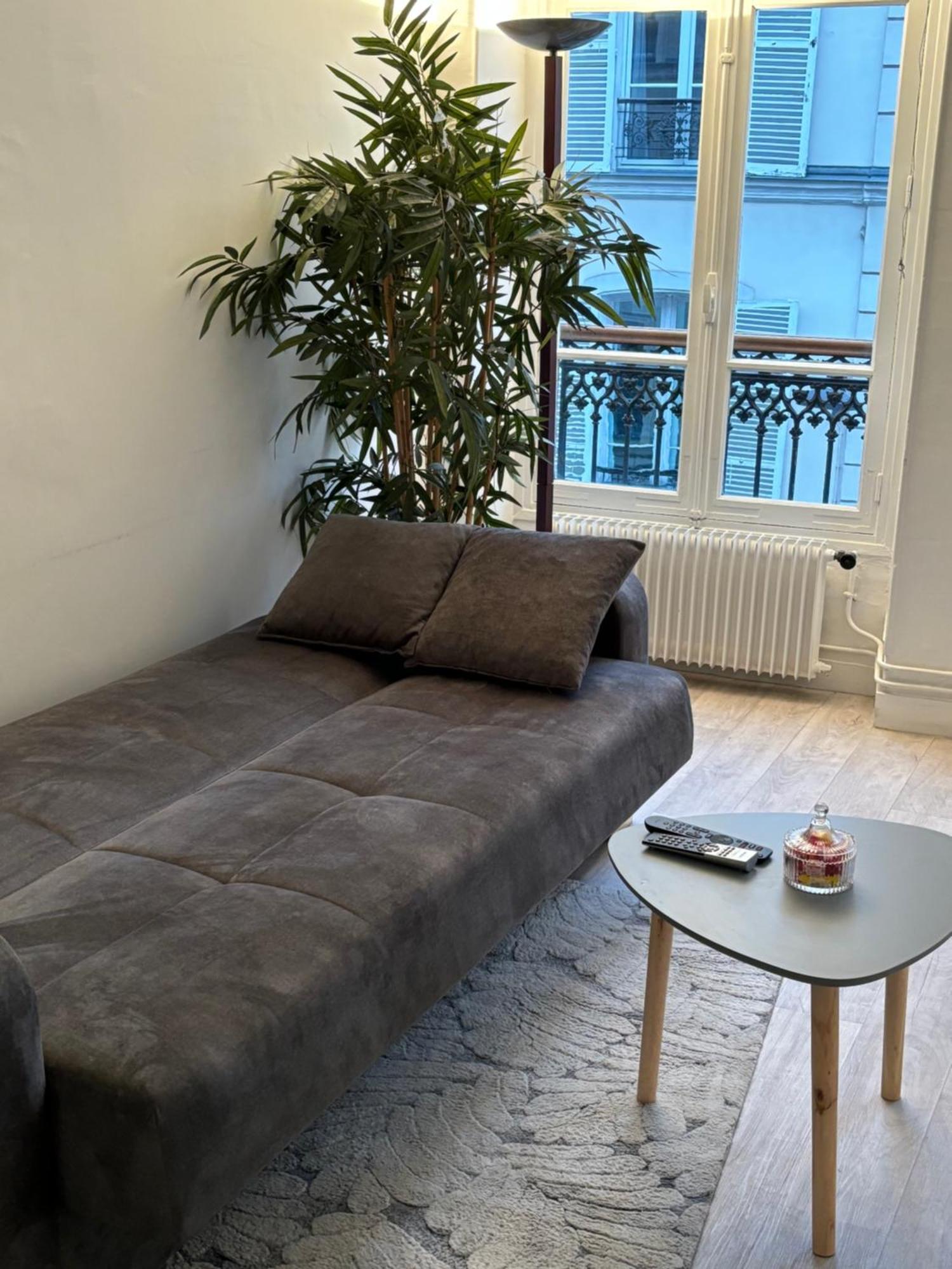 Situe Dans Le 9eme Arrondissement, A Deux Pas Du Sacre-coeur Apartment Paris