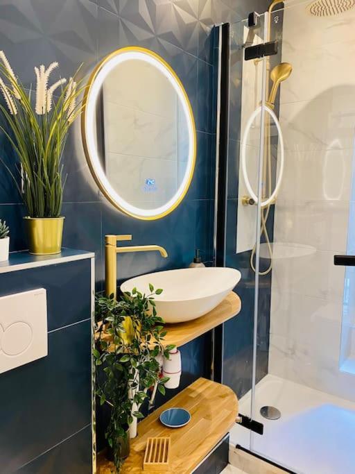 Apartment Lovely In The Heart Of St Germain-des-pres Paris