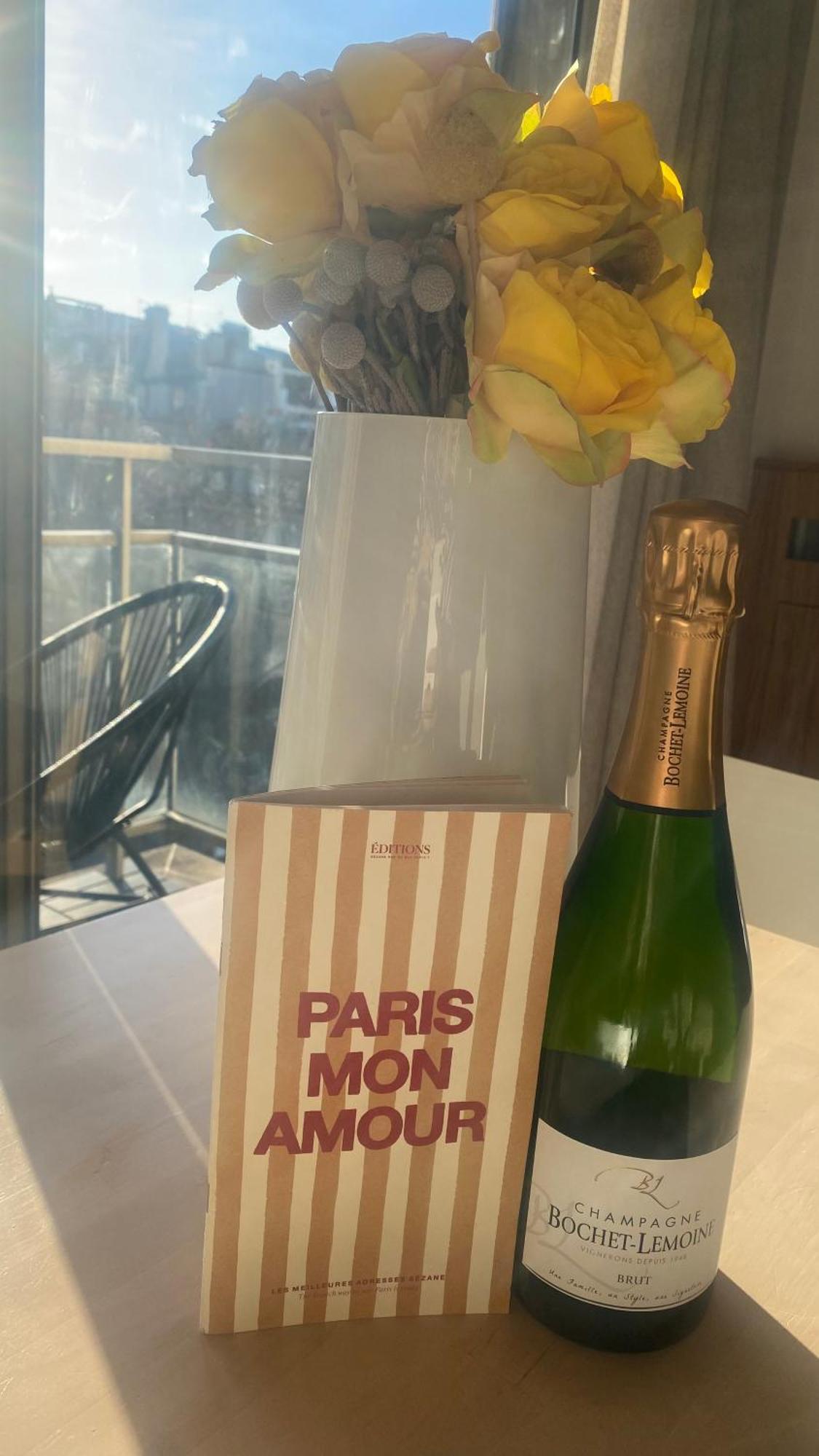 Fabulous Big With Balcon Arc Of Triumph Homestay Paris