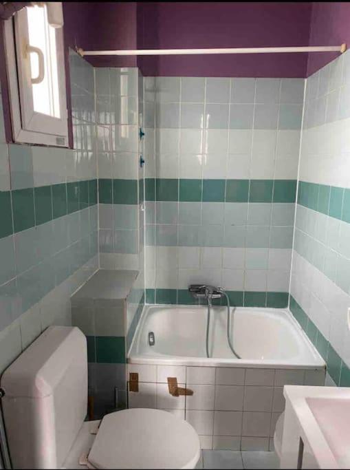 Studio 15e - Quartier Rue Du Commerce * Paris