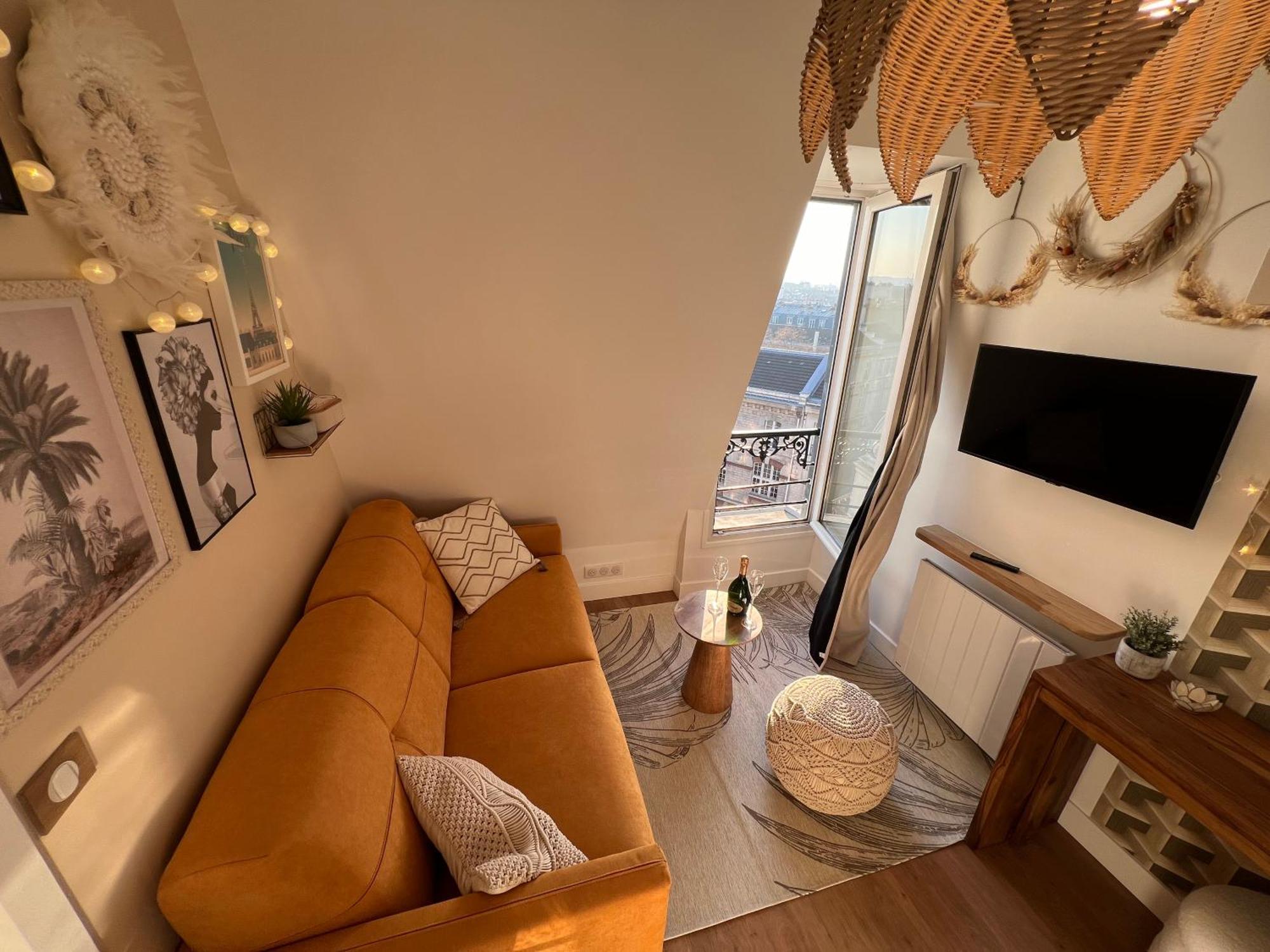 With Fabulous View On Roofs * Paris