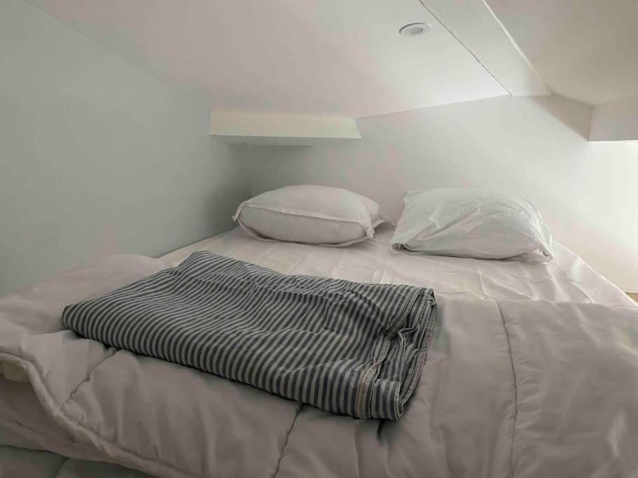 Trocadero, Tour Eiffel, Duplex 120 M2 * Paris