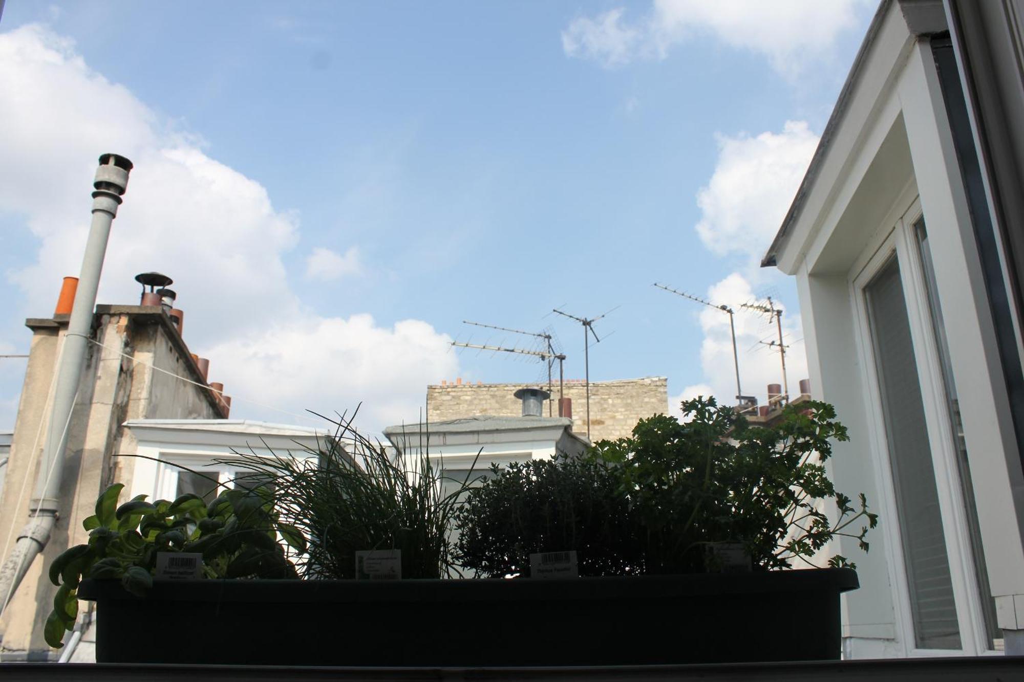 Apartment Fabulous Flat In Center, Fully Equiped, Ac, Elevator *