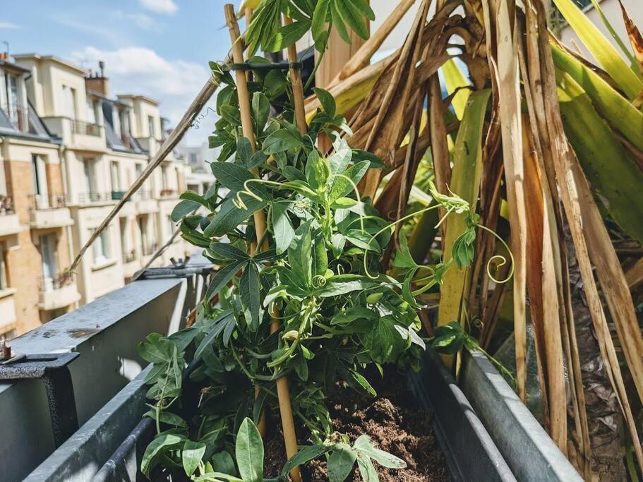 Apartment La Colonie // Cosy - Terrasse - Butte Aux Cailles *