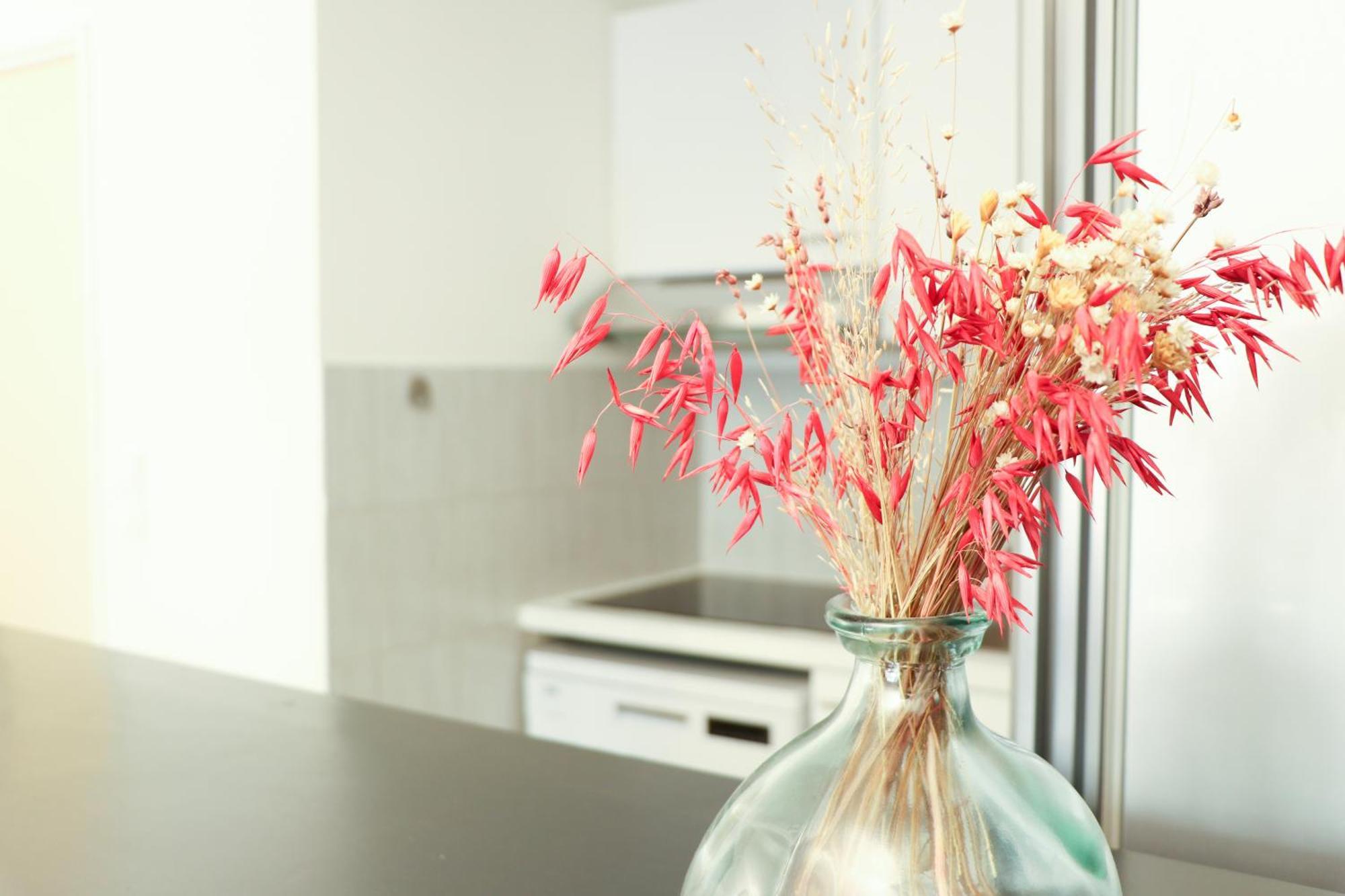 Apartamento Spacieux En Plein Coeur De *