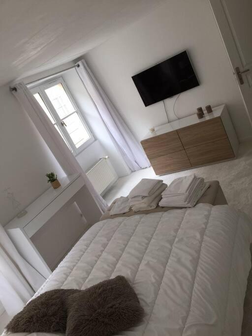 Au Coeur Du Touristique Apartment