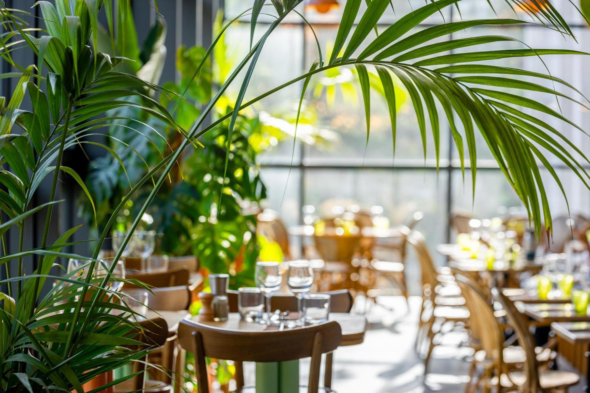 The People - Marais Albergue *
