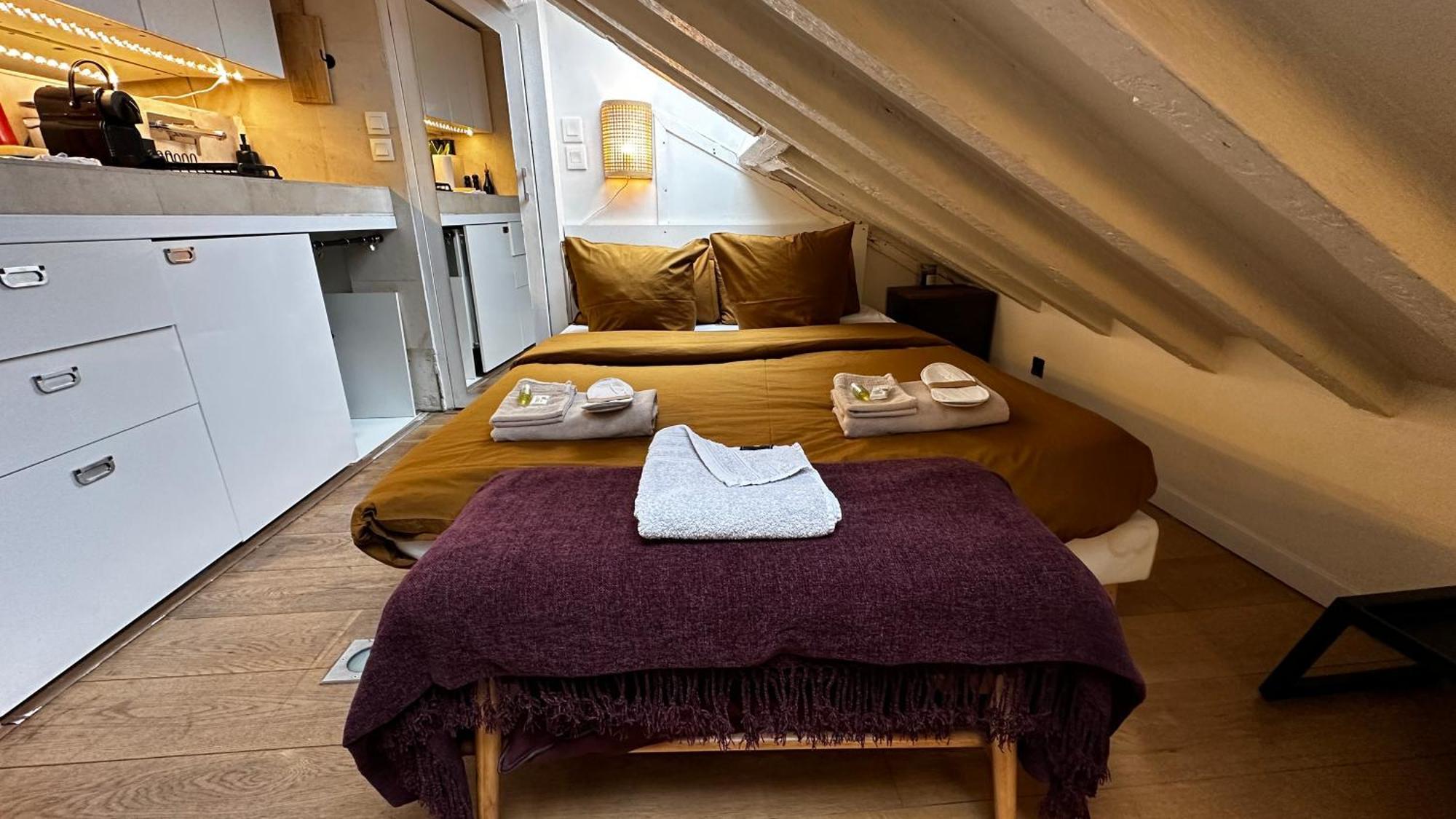 Marais Rooftop Studio - Metro Filles Du Calvaire Apartment Paris