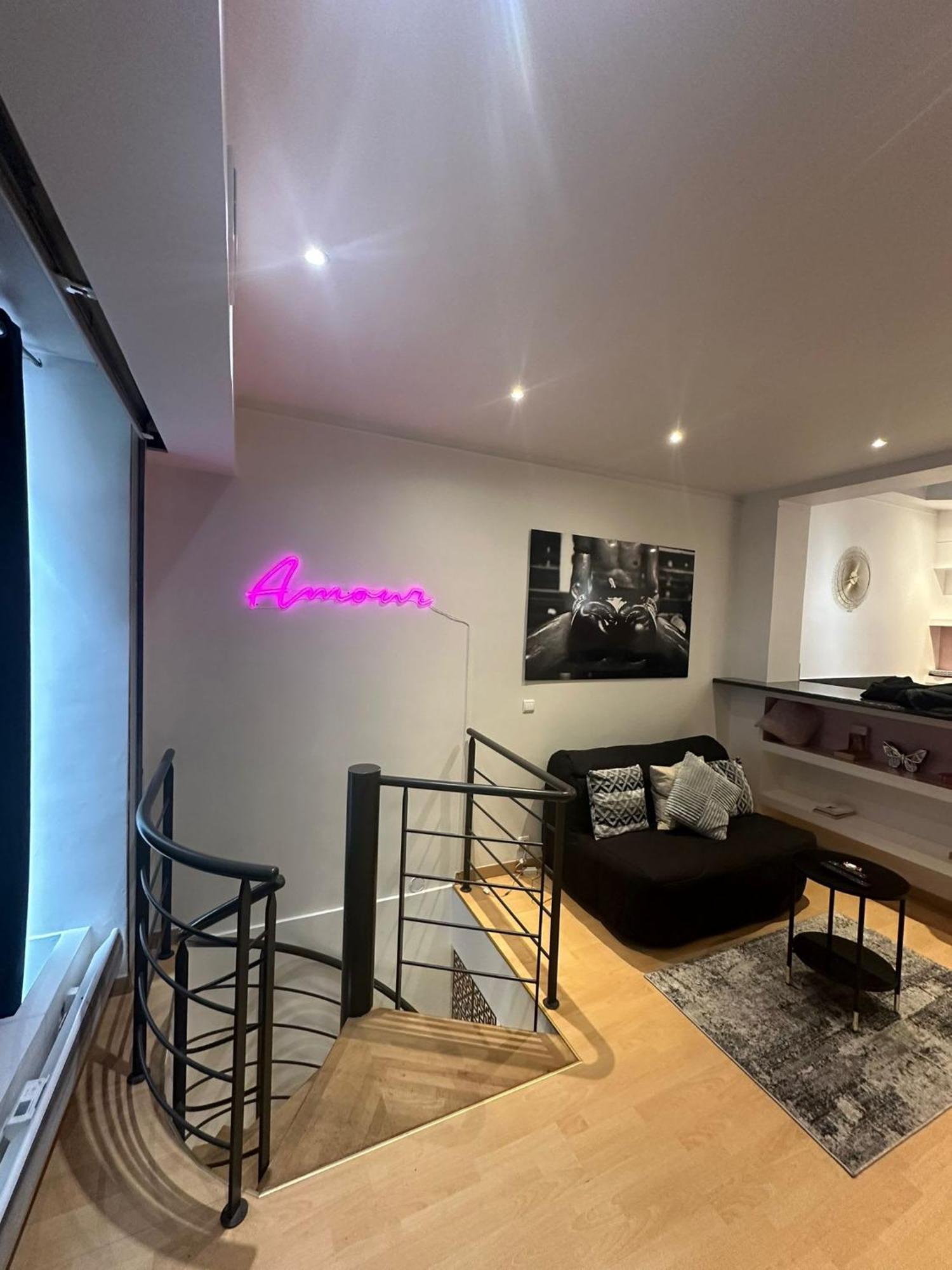 2 Pieces Sur Deux Niveaux Appartement