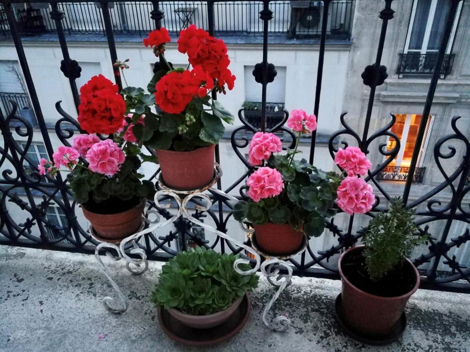 Apartment Sainte Elisabeth - Republique