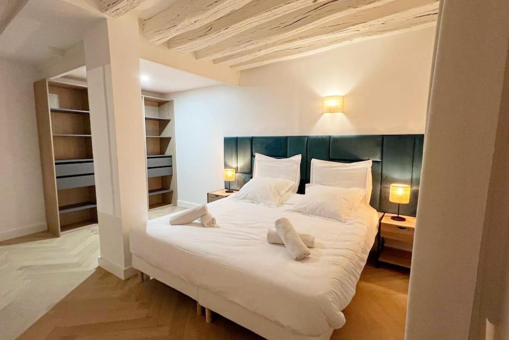 Magnificient Parisian Flat - Parisian Heart Paris
