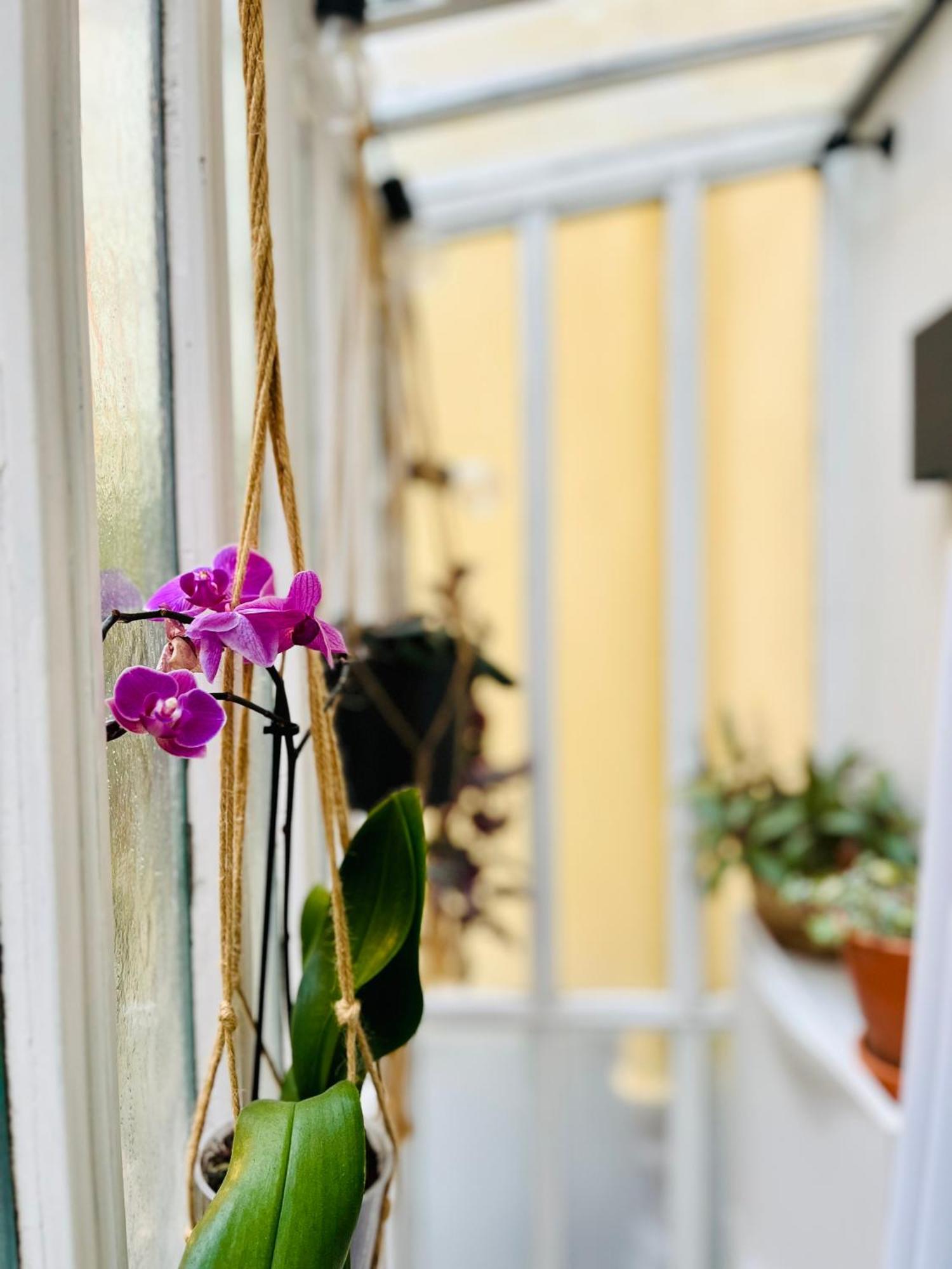 Apartamento Plein Coeur De : Duplex A Bastille Paris
