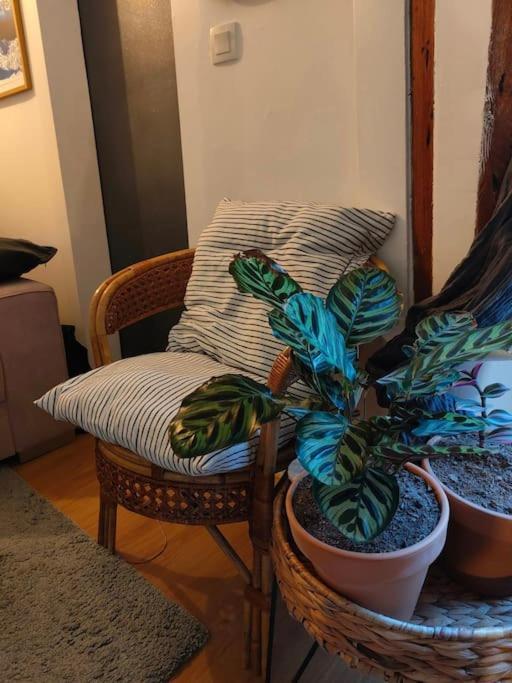 Parfaite Et Confortable Demeure Apartment