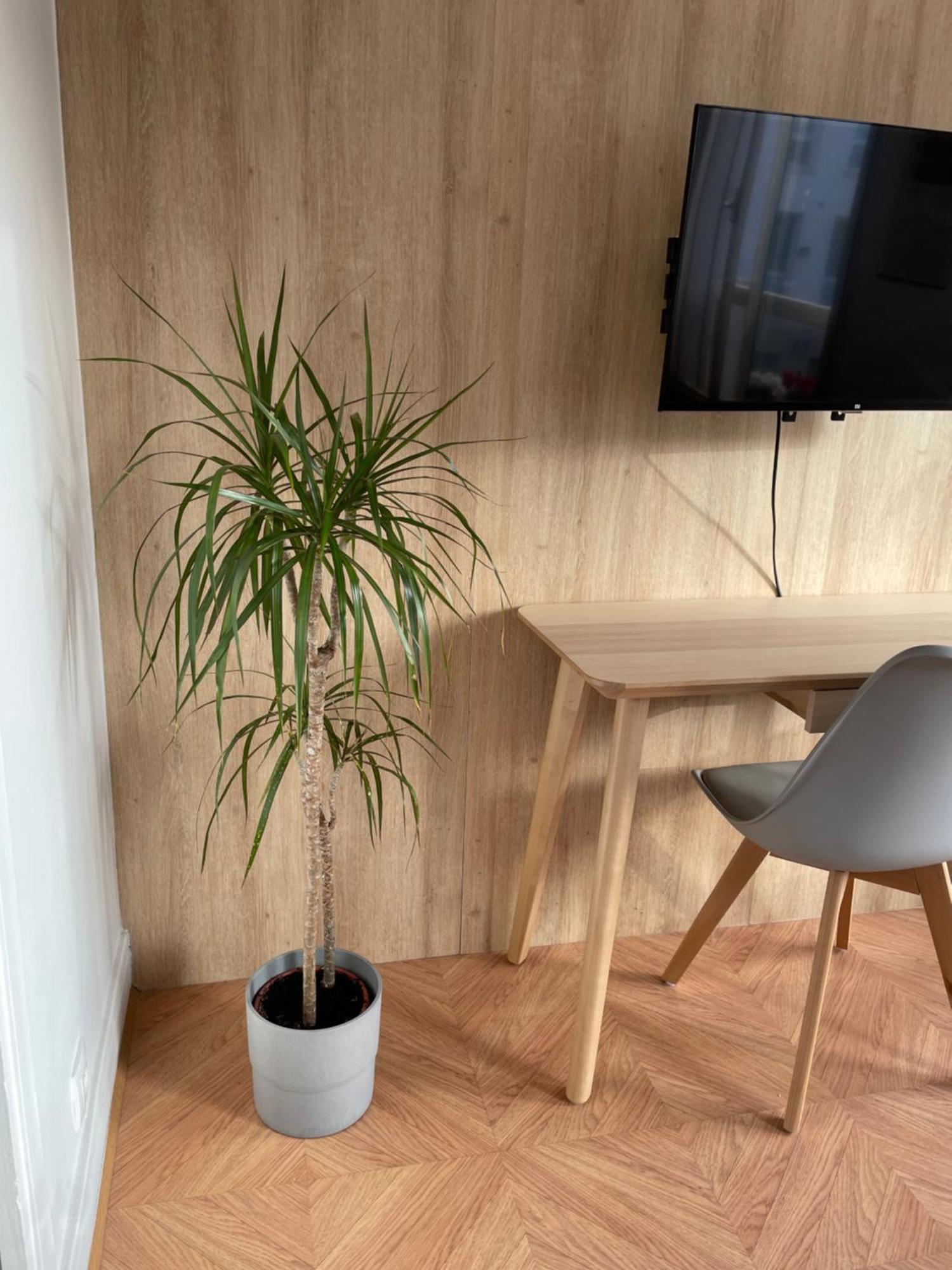 Appartement Sweet House In