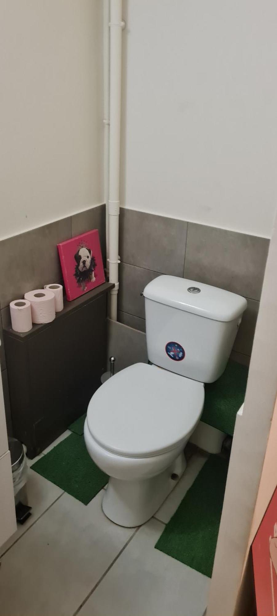 Souplex In Montmartre Apartment Paris