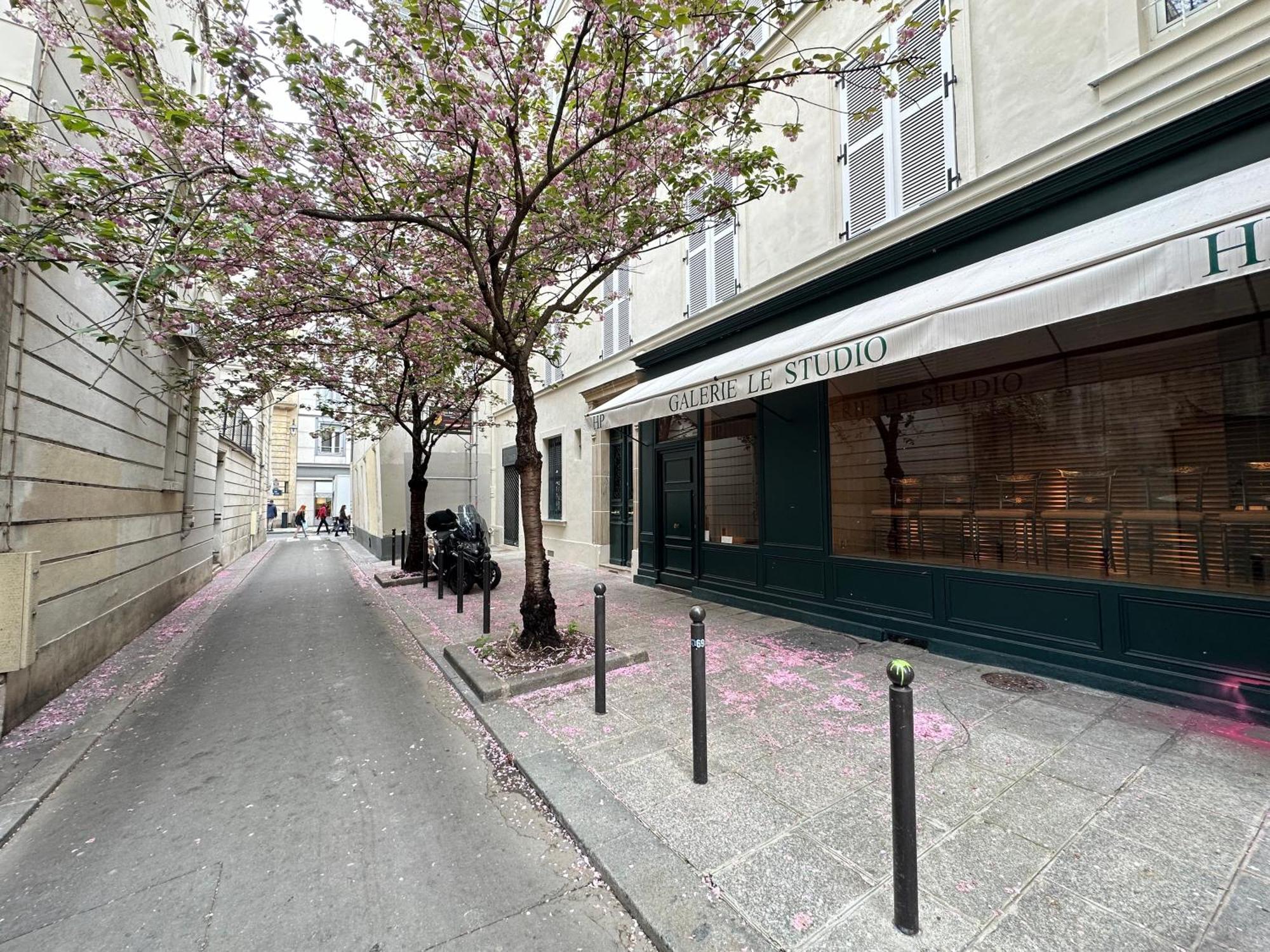 Apartamento Spacious Studio In Saint-germain-des-pres *