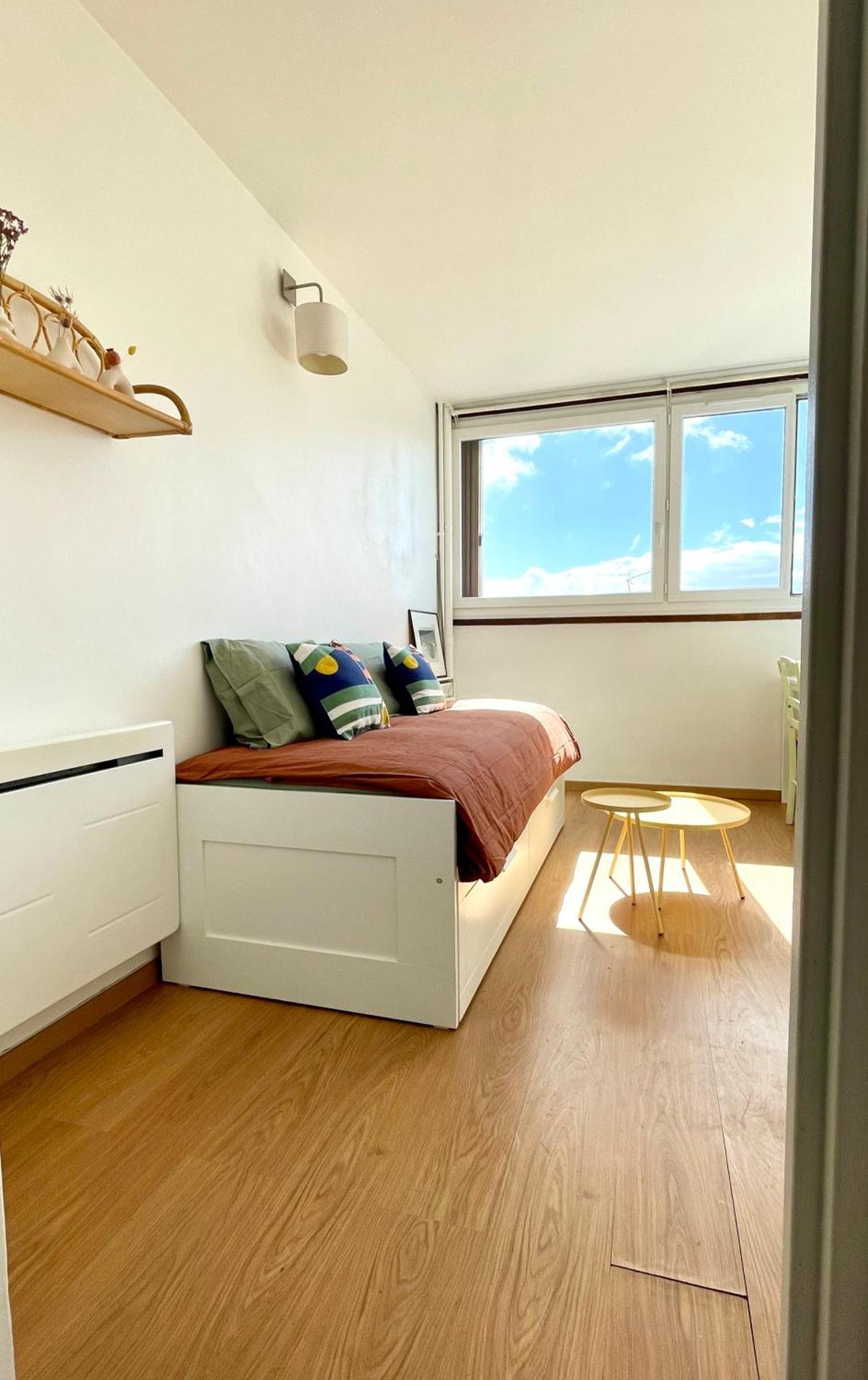 Apartment Charming Bright Sunny In Belleville