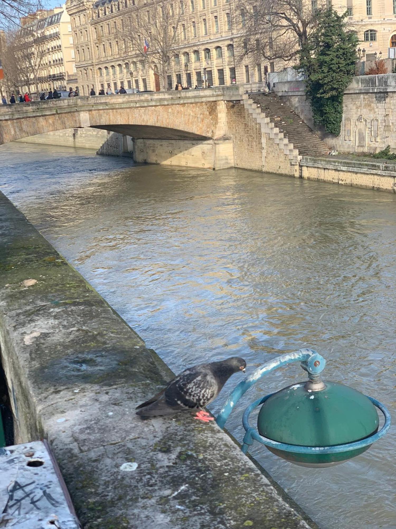 Quartierlatin * Paris